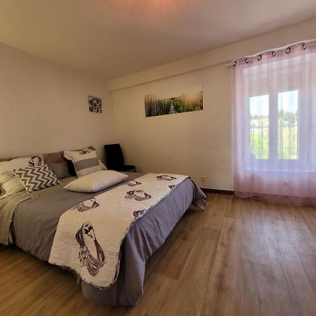Une Pause Chez Rosie Apartment Carcassonne Luaran gambar